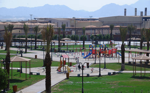 (70) مليون ريال لصيانة وتهيئة الحدائق العامة بمكة المكرمة