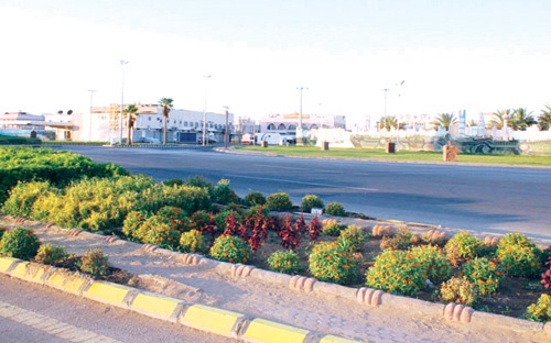 قسم الحدائق ببلدية بقعاء يجمل شوارع المحافظة 