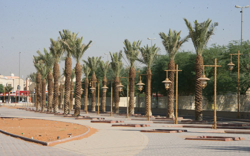 يوم المزارع يستقبل كميات كبيرة من الخضار والفاكهة