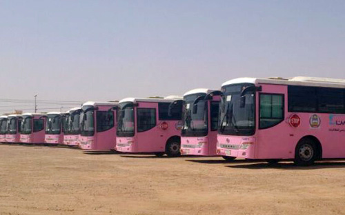 أكثر من (140) حافلة لنقل طالبات المجمعة 