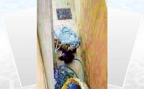 التحقيق في قضية «معنف الحفر»