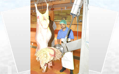 أمانة منطقة عسير تطَّلع على تجربة مسلخ بريدة