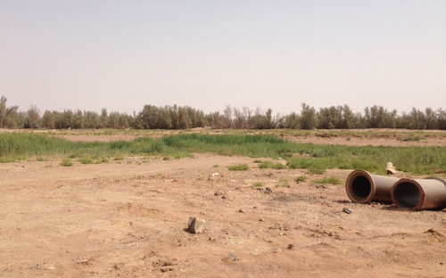 أهالي الأحياء الشمالية بحائل يشتكون مستنقعات الأديرع