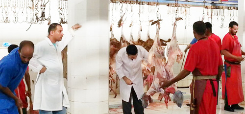 2500 ذبيحة في أول أيام العيد بمسلخ صامطة