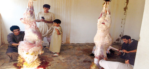 مواطنون في شقراء يفضلون ذبح أضاحيهم بأنفسهم