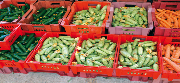 الفواكه الموسمية تغزو يوم المزارع 