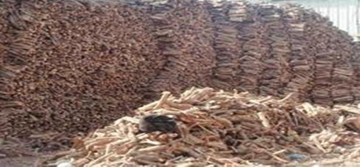 المقبل لـ«الجزيرة»: التعاقد مع شركة أمنية لحماية الغابات والمراعي من الاحتطاب 