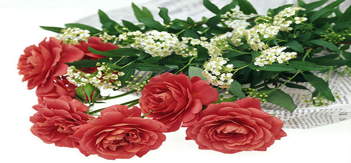 بصمات ناعمة 