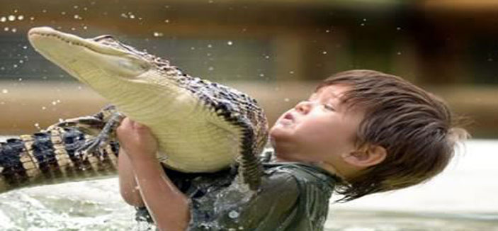 تمساح «ينقض» على صبي في أستراليا 