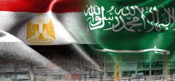 عروض سعودية وخليجية للاستثمار في مراكز التعهيد بمصر 