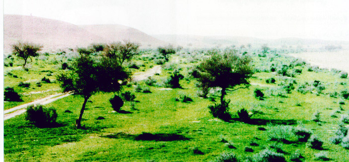 أهالي تمير ناصروا الملك عبدالعزيز وشاركوا في اجتماع الجمعية العمومية في نجد عام 1347هـ 