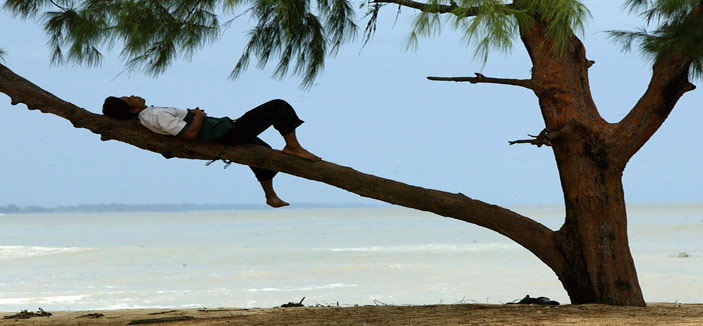 الشجرة السحرية 