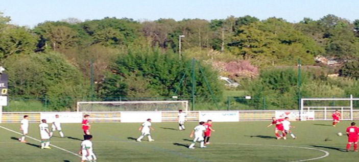 أخضر البراعم يفوز على فيرتو الفرنسي 