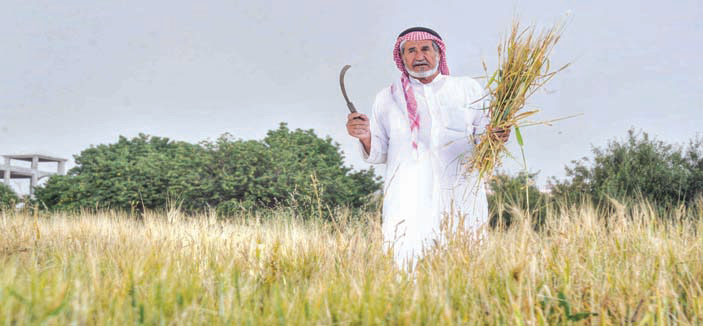 وكيل وزارة الزراعة: مطلبنا الأمن الغذائي وليس الاكتفاء الذاتي .. و5 مراكز جديدة للإرشاد الزراعي 