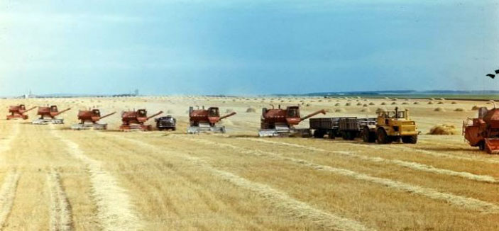 «فاو»: السعودية ثاني أكبر مستورد للحبوب في العالم