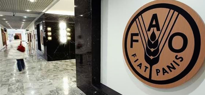 «فاو»: 33 دولة تواجه مخاطر انعدام الأمن الغذائي 