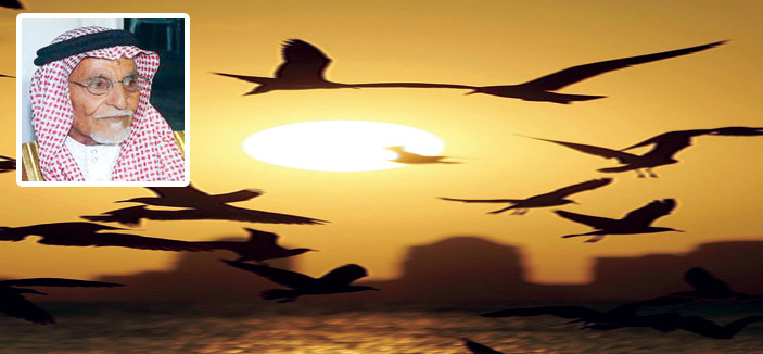 أصبر على الطعنات 