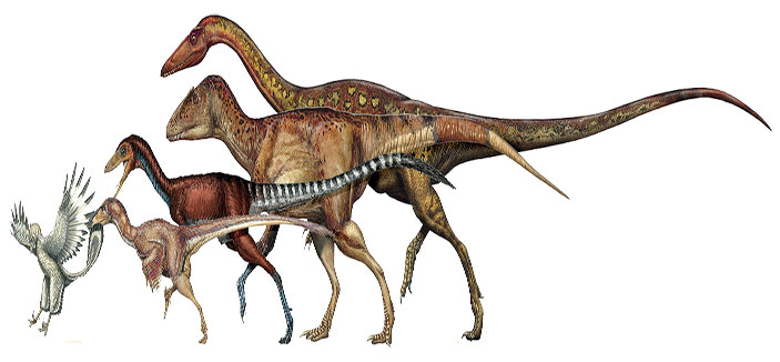 باحثون: ديناصورات تحورت على مدى 50 مليون سنة لتصبح طيوراً 