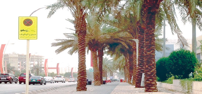 أرصفة طريق الملك عبدالله بالرياض أنموذج هندسي بمواصفات عالمية 