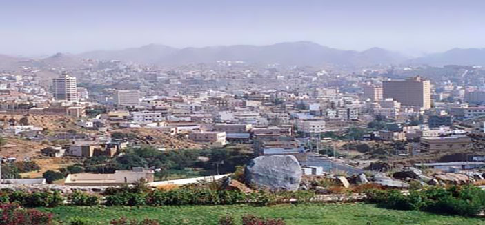 100% نسبة الإشغال بقطاع الإيواء في عسير 