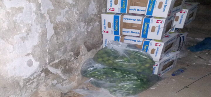 أمانة منطقة الرياض تشن حملتين على الجائلين غير السعوديين وتصادر 700 نوع من الخضراوات 
