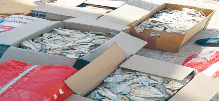 «الغذاء والدواء» تمنع تمرير 10 آلاف عبوة عصير ولحوم وأسماك وخضراوات فاسدة 