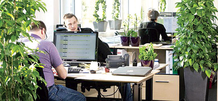 دراسة: النباتات في مكان العمل تجعل الموظفين أسعد وأكثر إنتاجاً 