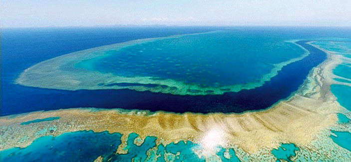 مليونا سائح يرتادون منطقة الحيد المرجاني العظيم في أستراليا سنويًا 