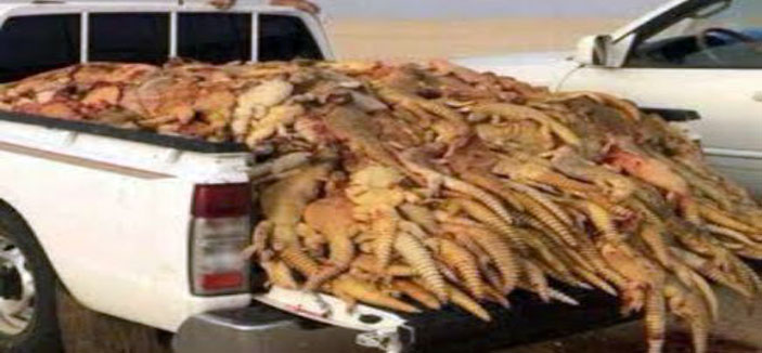 هؤلاء هم أعداء البيئة والطبيعة ! 