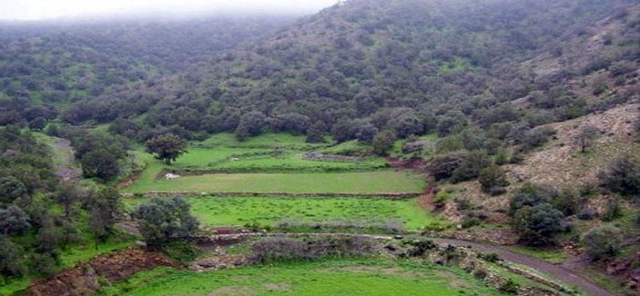 بني مالك تنتظر تصنيفها ضمن المحافظات 