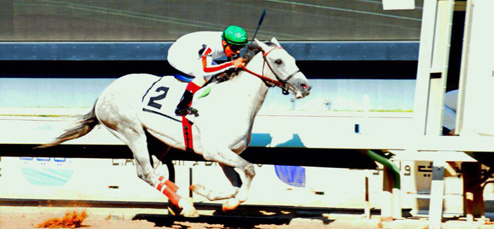 الأبيض يطمئن على عيثوم ويطرح إنتاجه الجديد ابن عادل 