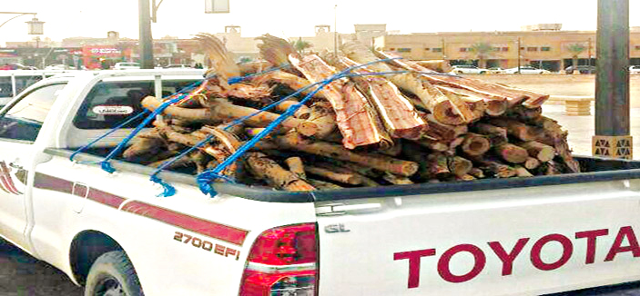 أمانة منطقة الرياض تضبط 6 مباسط عشوائية لبيع الحطب والكماليات 