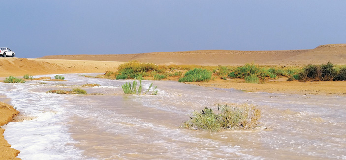 أمطار (ديمة) على سدير تسيل الأودية 