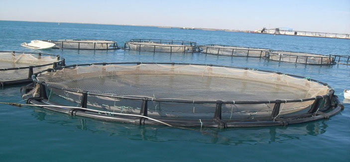 ورشة حول الأمن الحيوي لمشاريع الاستزراع السمكي 