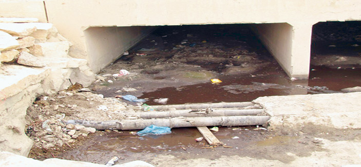 روائح من عبارات مياه السيول تزعج سكان الفيصلية بالدرعية 