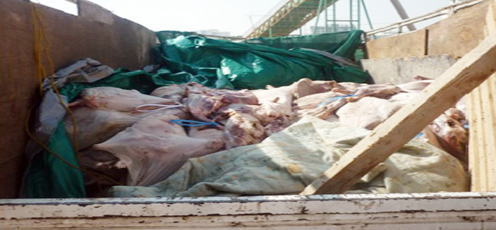 بلدية «أجياد مكة» تتلف 3 آلاف كيلو من اللحوم الفاسدة 