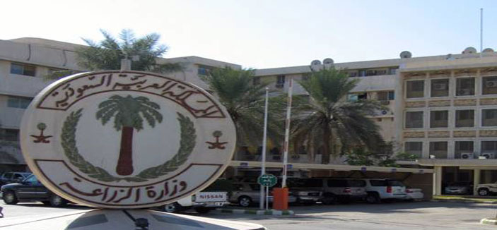 «زراعة الرياض» تدعو مزارعي التمور إلى مراجعتها لصرف الإعانات 