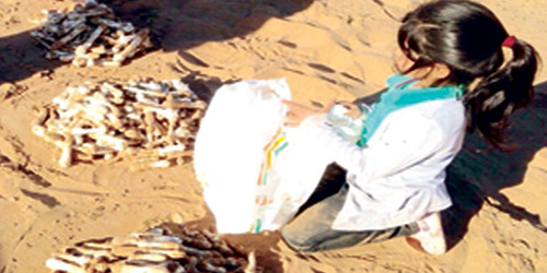 البحث عن نبات (العرجون) يزيد من متعة البراري 