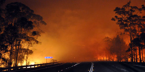 سباق مع الوقت لإخماد حرائق الأحراج في أستراليا 
