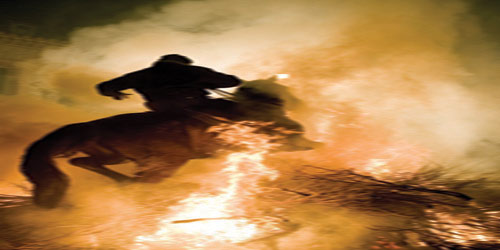 يا ابو الولد 