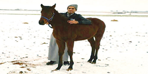  المرخان ومهرته وثلوج الجوف