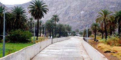 إنجاز 65 % من مشروع درء أخطار السيول في اللويزقة والمضباع 