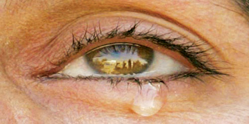 عيون النبطي 