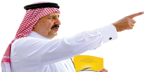  الأمير سلطان بن محمد