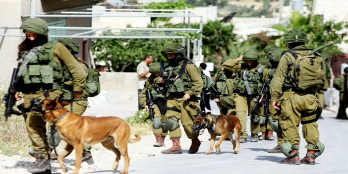  اسرائيل تنتهك القانون الدولي باستخدام الكلاب خلال اعتقال أطفال فلسطين