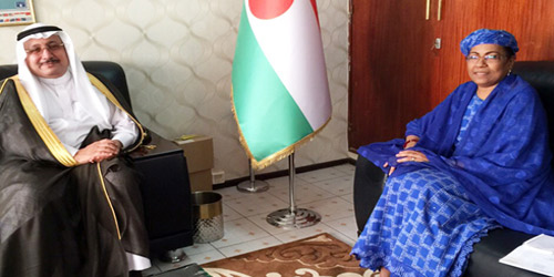 سفير خادم الحرمين الشريفين لدى النيجر يجتمع بوزيرة الخارجية 