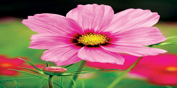 محطات تربوية 