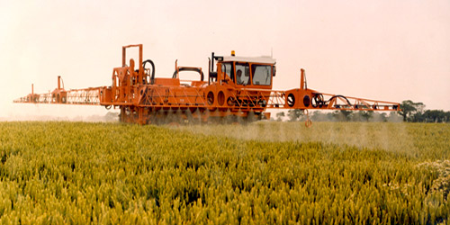 70 مليار دولار فاتورة استيراد المملكة للأغذية 