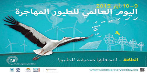 المملكة تشارك في الاحتفال باليوم العالمي للطيور المهاجرة 