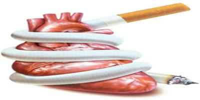 60 % من مرضى قصور عضلة القلب مدخنون 